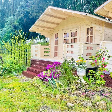Vacation Home Apsar New Athos Luaran gambar